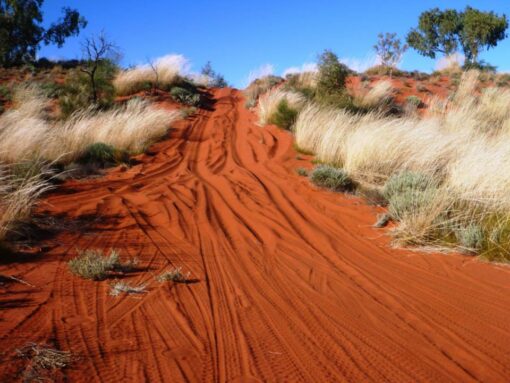 Western Deserts - Image 3