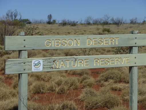 Gunbarrel Highway - Image 10