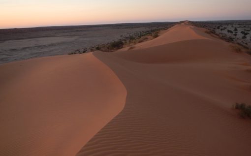 Simpson Desert - Image 5