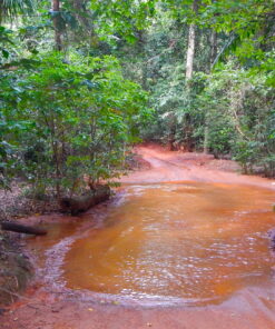 Cape York North