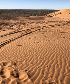 Desert Tours