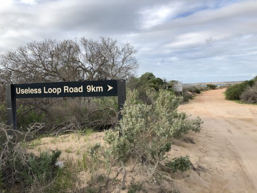 Around Australia - Image 10